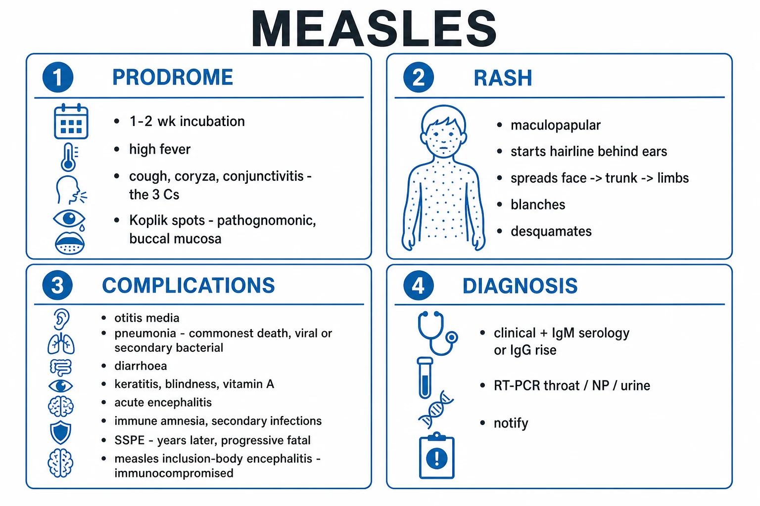 Clinical progression infographic: prodrome with 3 Cs and Koplik spots, cephalocaudal maculopapular rash day 1 to 4, and defervescence with rash