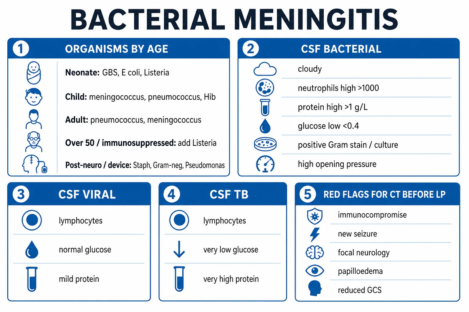 Clean infographic: organisms by age band, CSF interpretation by aetiology, and red-flag indications for CT before lumbar puncture