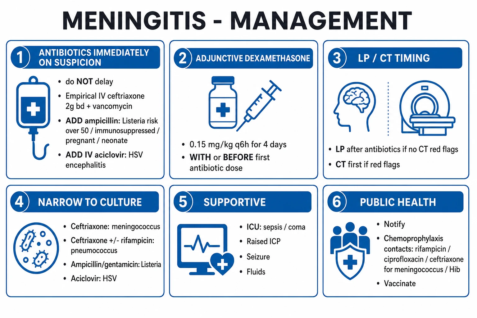 Clean management infographic: empirical antibiotics by age and risk plus dexamethasone, with escalation triggers and directed therapy