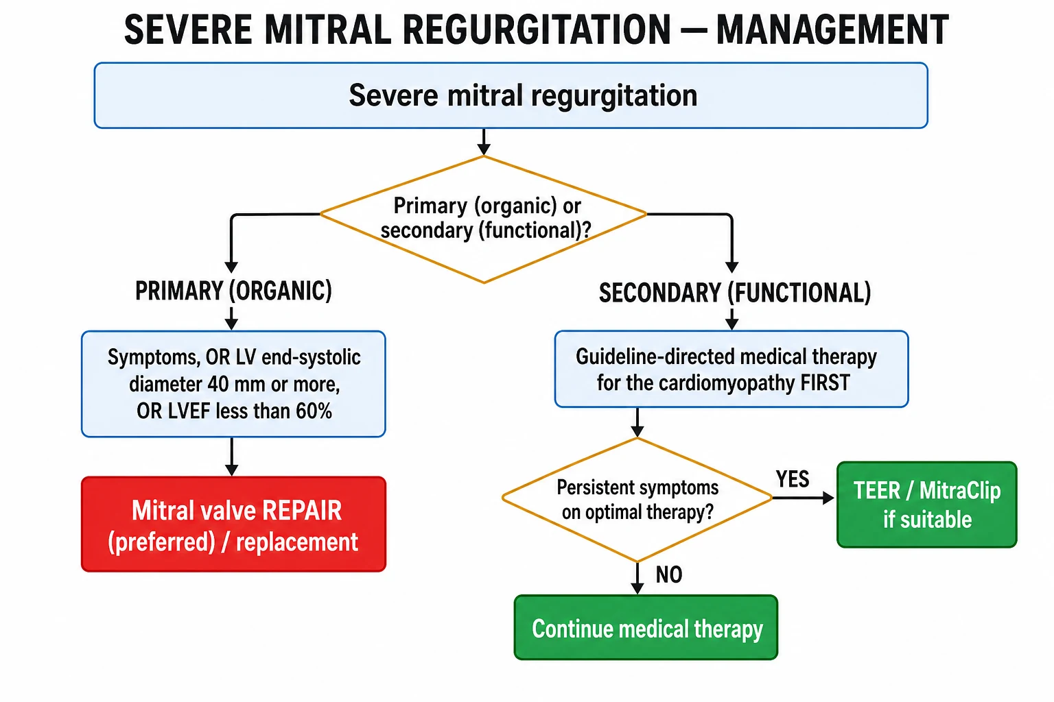 Management flowchart for severe MR splitting primary vs secondary pathways with surgical triggers and MitraClip TEER for secondary MR