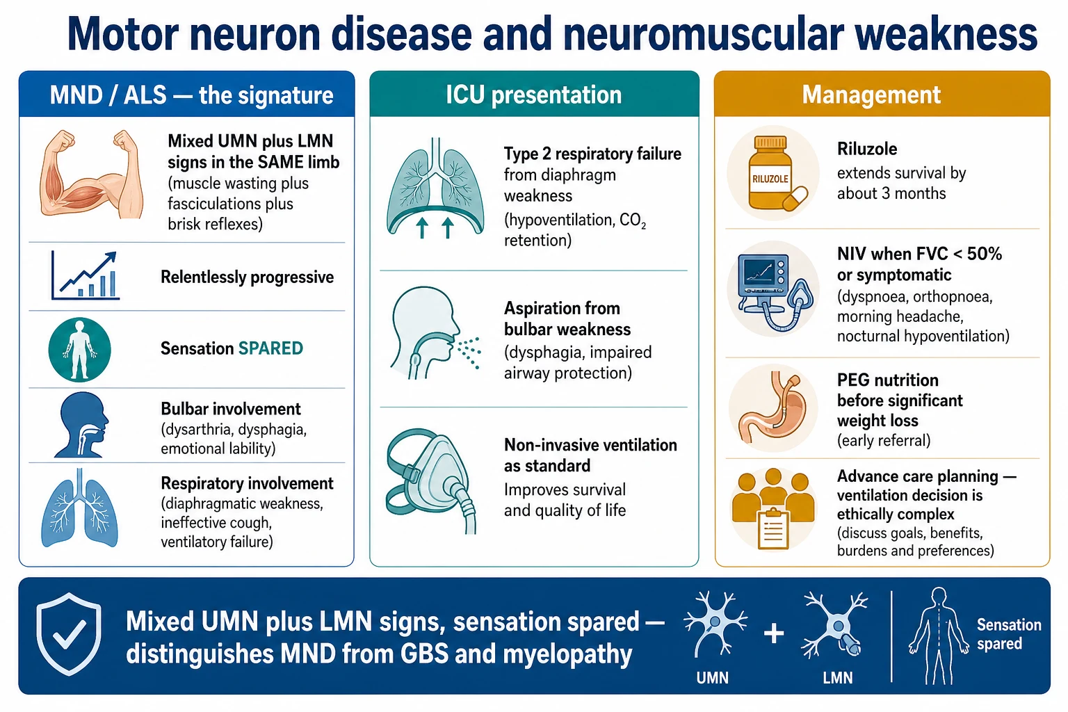 Overview graphic of molecular mechanisms and genetic contributors in ALS
