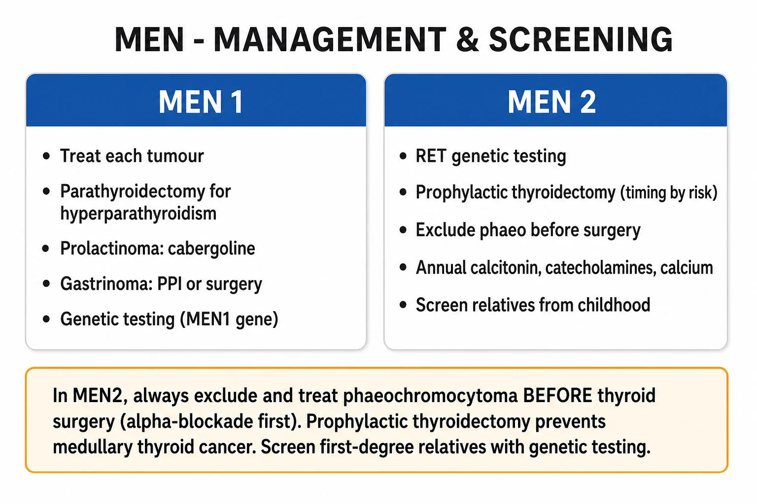 Clean two-column management infographic comparing MEN 1 and MEN 2 management pathways