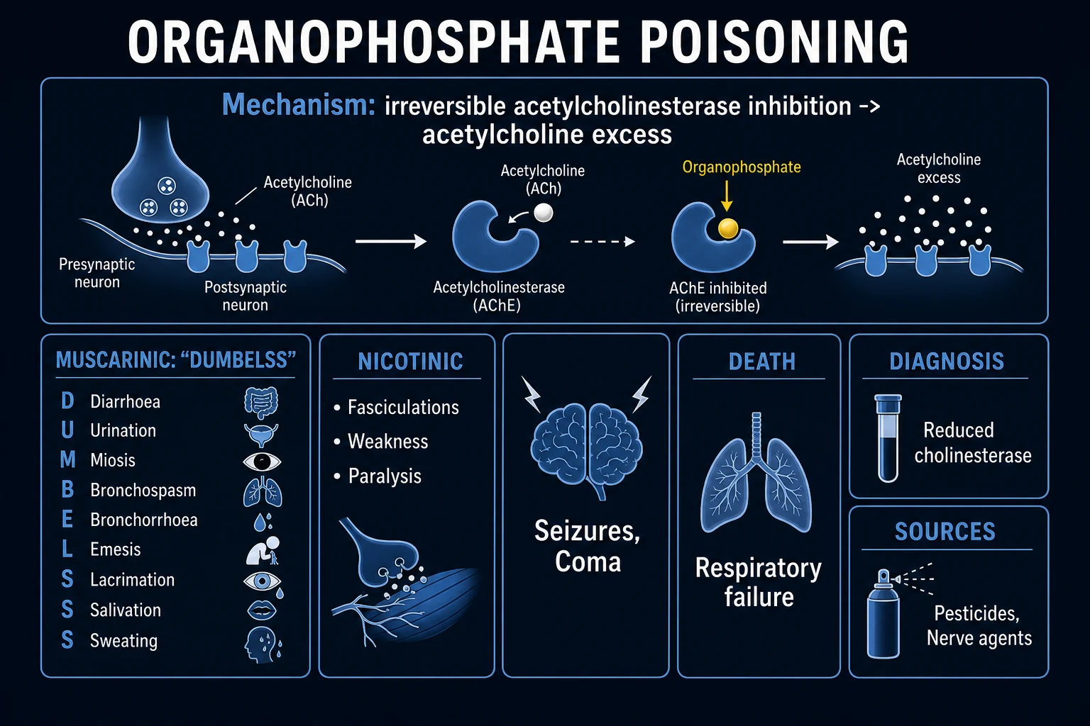 Clean infographic of OP classification: agent classes (agricultural pesticides vs nerve agents), three clinical phases, OP vs carbamate, DUMBELSS and MTWtHF mnemonics