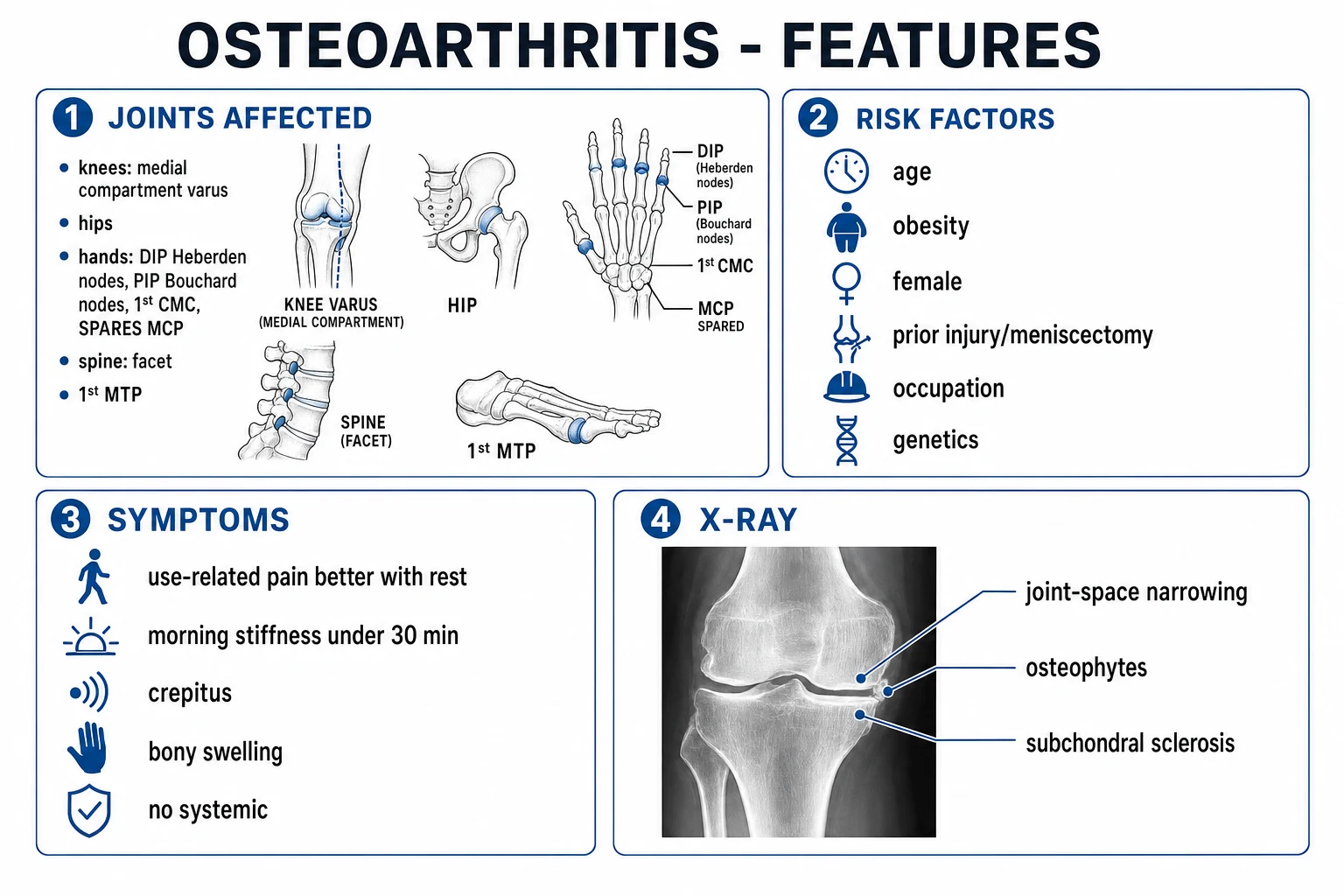 Clean infographic: OA joint distribution, risk factors, symptom pattern and X-ray LOSS contrasted with rheumatoid arthritis