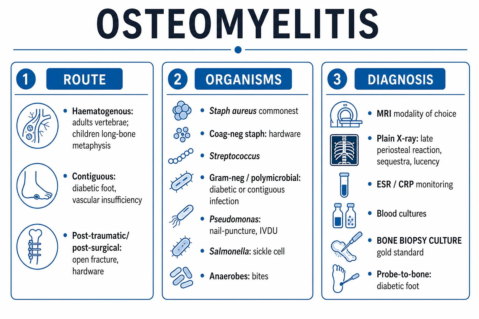Clean infographic: Lew-Waldvogel pathogenesis types (haematogenous, contiguous, chronic), Cierny-Mader anatomic stages I to IV, and acute vs subacute vs chronic by duration