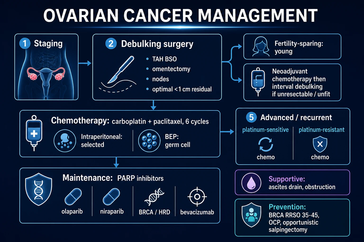 Management algorithm: surgical staging and cytoreduction, chemotherapy, and maintenance therapy.