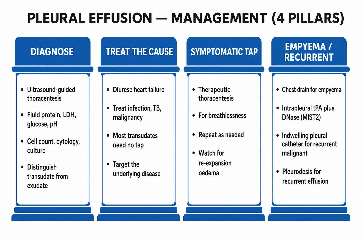 Stepwise management infographic — diagnose, classify, treat cause, drain, pleurodesis or IPC, surgery