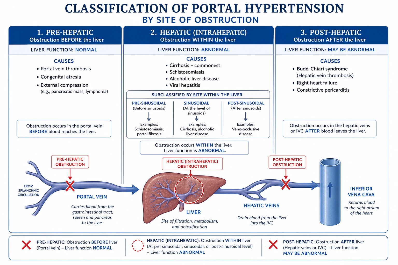 Acute variceal bleed management algorithm: resuscitate with restrictive transfusion, terlipressin, antibiotics, EVL; refractory bleed escalates to balloon tamponade bridge then TIPSS; pre-emptive TIPSS for high-risk Child-Pugh B/C.