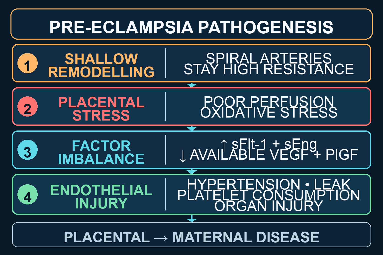 Two-stage schematic from incomplete spiral-artery remodelling through placental stress and excess sFlt-1 and soluble endoglin to maternal endothelial injury.