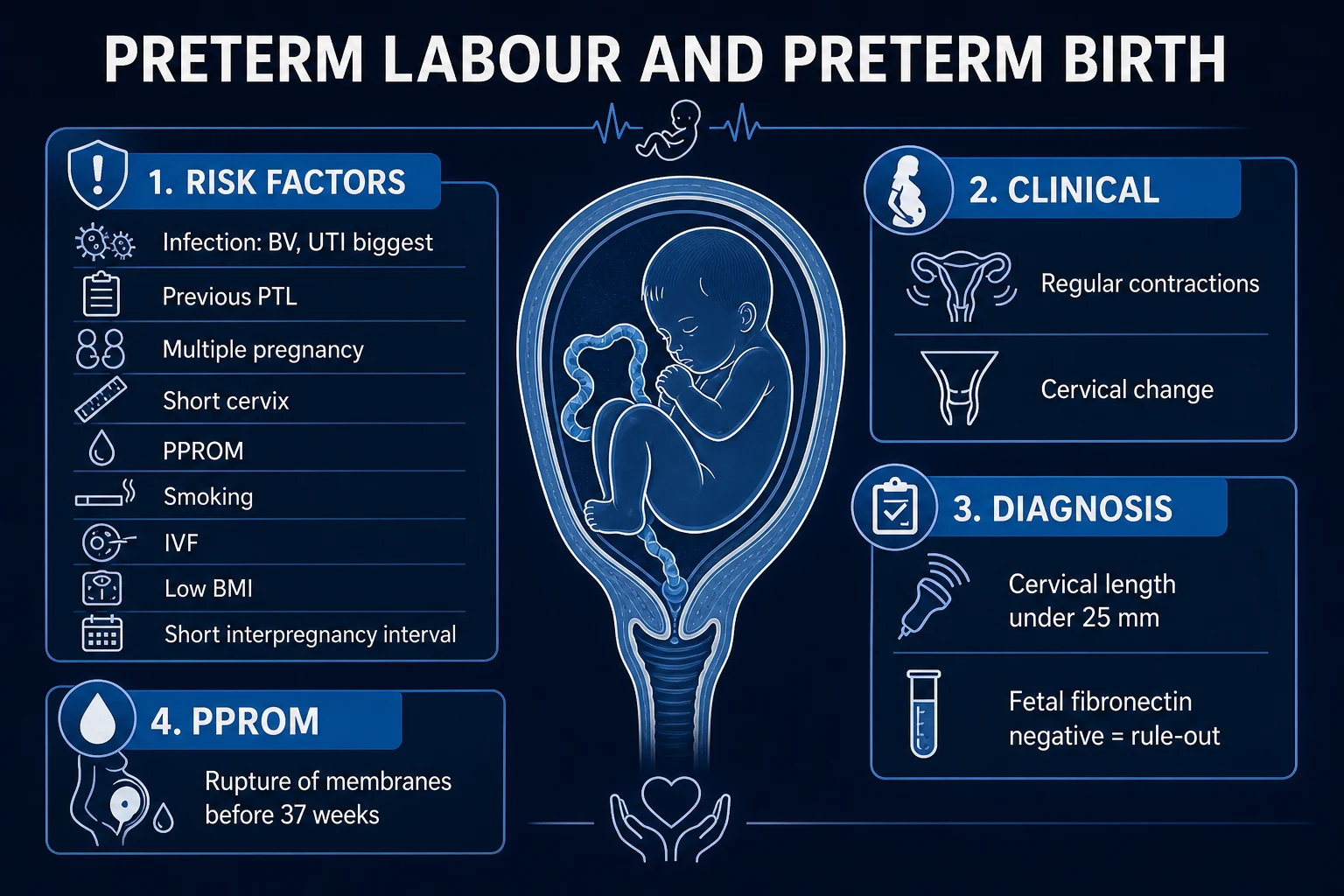 Clean infographic of preterm birth classification by gestational age and by clinical phenotype, plus risk factors and prediction tests