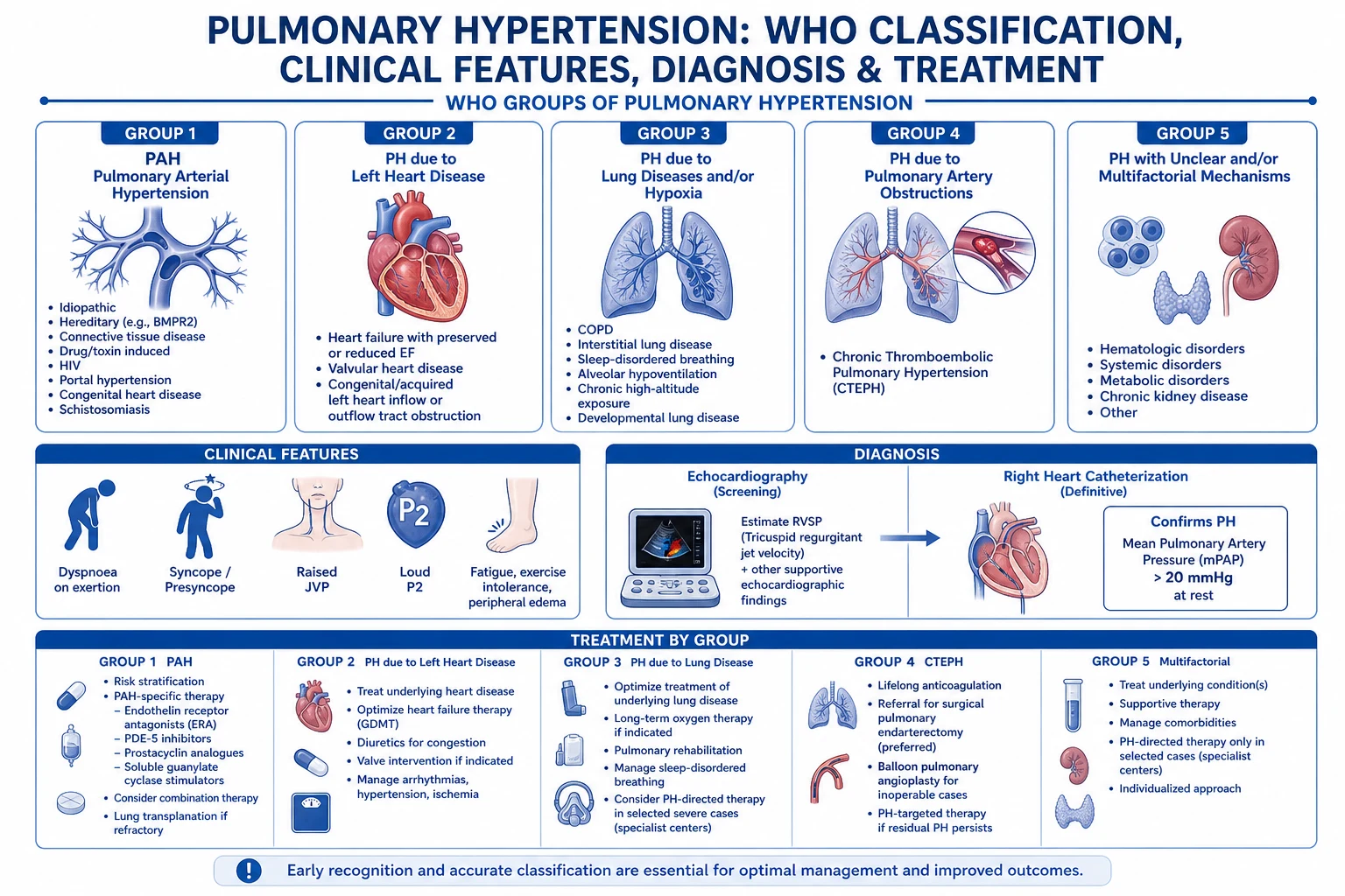 Mechanism infographic showing the three classical vasomotor pathways — reduced nitric oxide and prostacyclin, increased endothelin-1 — and the resulting intimal proliferation, medial hypertrophy, in-situ thrombosis, RV hypertrophy and progressive RV failure