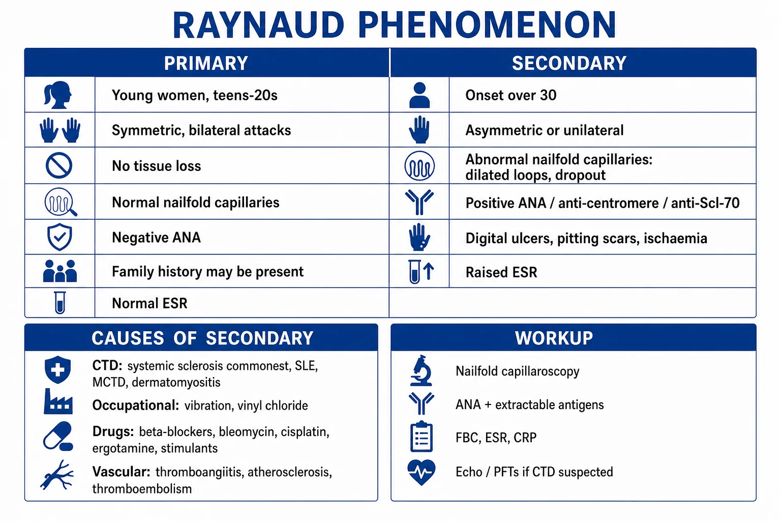 Clean infographic: primary vs secondary Raynaud plus causes of secondary