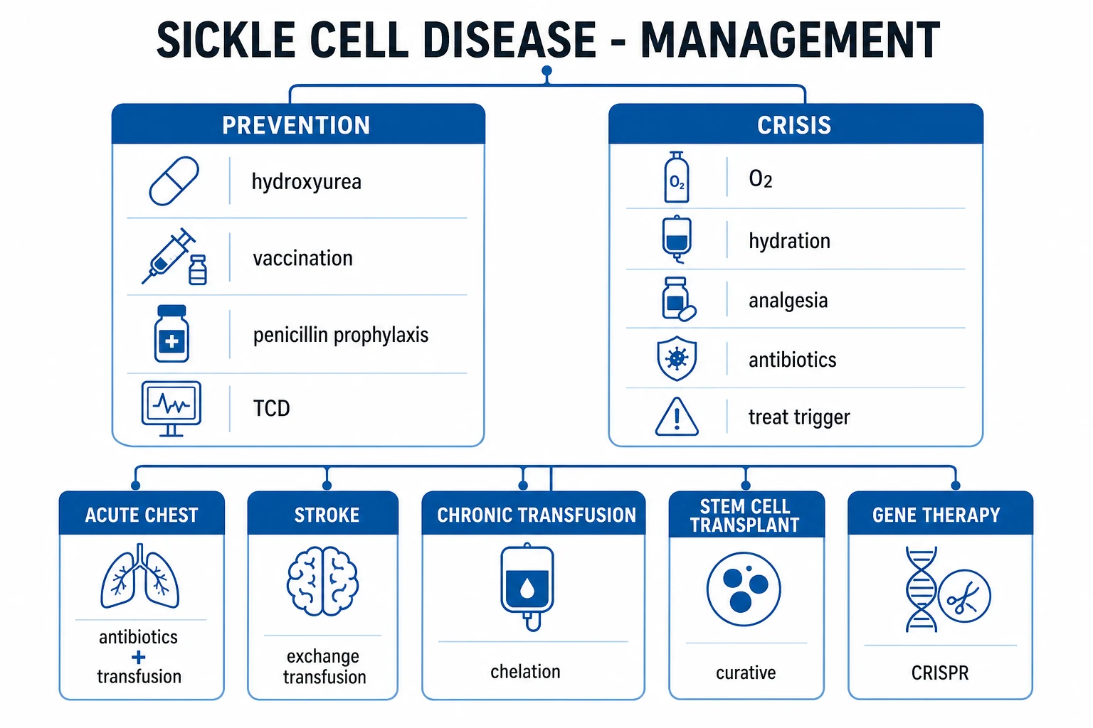 Clean management infographic for sickle cell disease