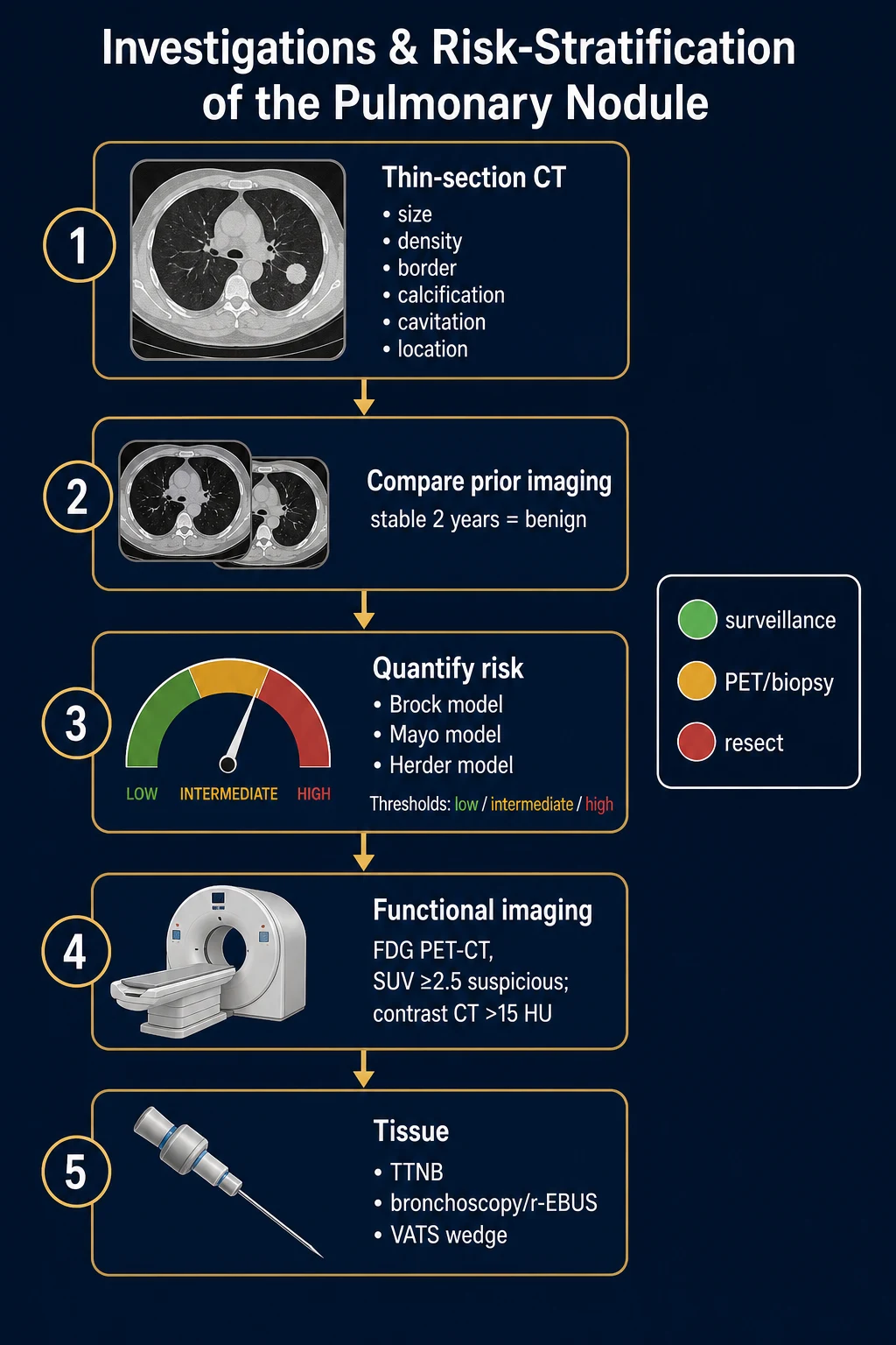 Decision flow diagram of solitary pulmonary nodule investigations and risk-stratification