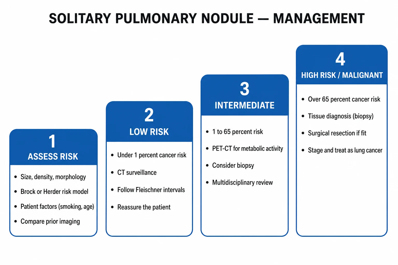 Four-step infographic of solitary pulmonary nodule management