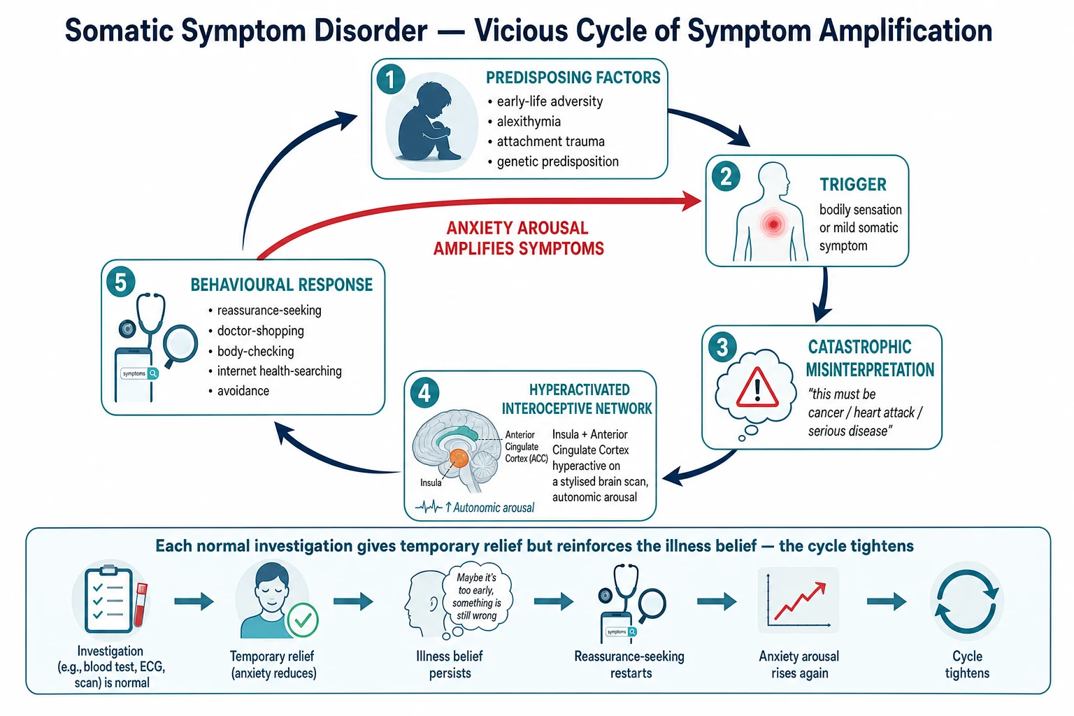 Medical educational infographic of the cognitive-behavioural and neurobiological vicious cycle of somatic symptom disorder