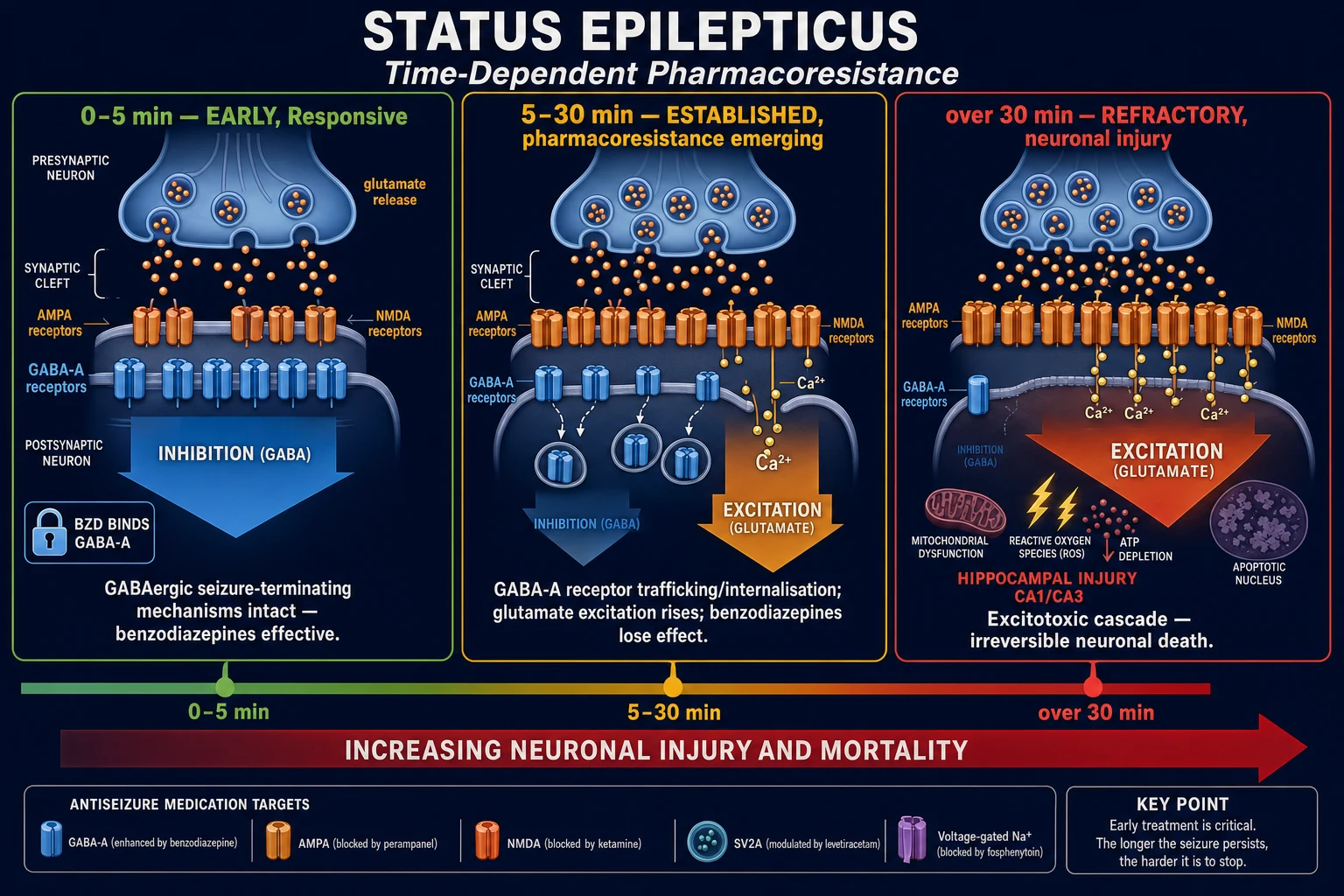 Synapse diagram showing time-dependent pharmacoresistance in status epilepticus: GABA-A receptor internalisation and NMDA/AMPA upregulation across three timeline panels