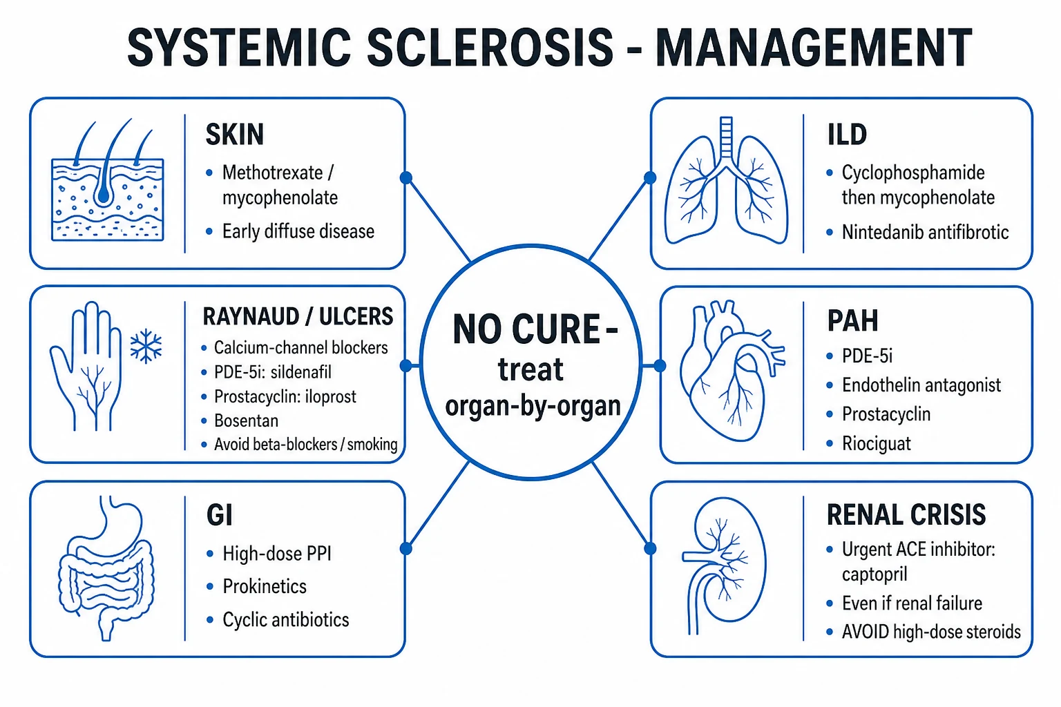 Clean stepwise organ-targeted management infographic: skin (MTX, MMF), Raynaud/digital ulcers (CCB, PDE-5i, prostacyclin, bosentan), GI (PPI, prokinetics, antibiotics), ILD (MMF, cyclophosphamide, rituximab, nintedanib), PAH (ERA, PDE-5i, riociguat, prostacyclin), renal crisis (ACE inhibitor)