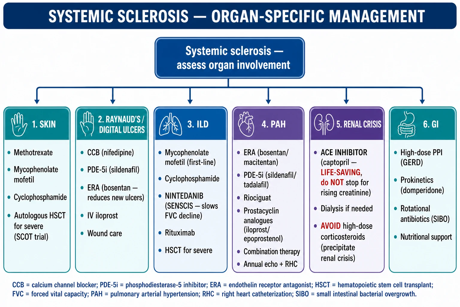 Clean treatment algorithm flowchart: organ-targeted therapy with branches for skin, Raynaud/digital ulcers, GI, ILD, PAH, renal crisis and AHSCT