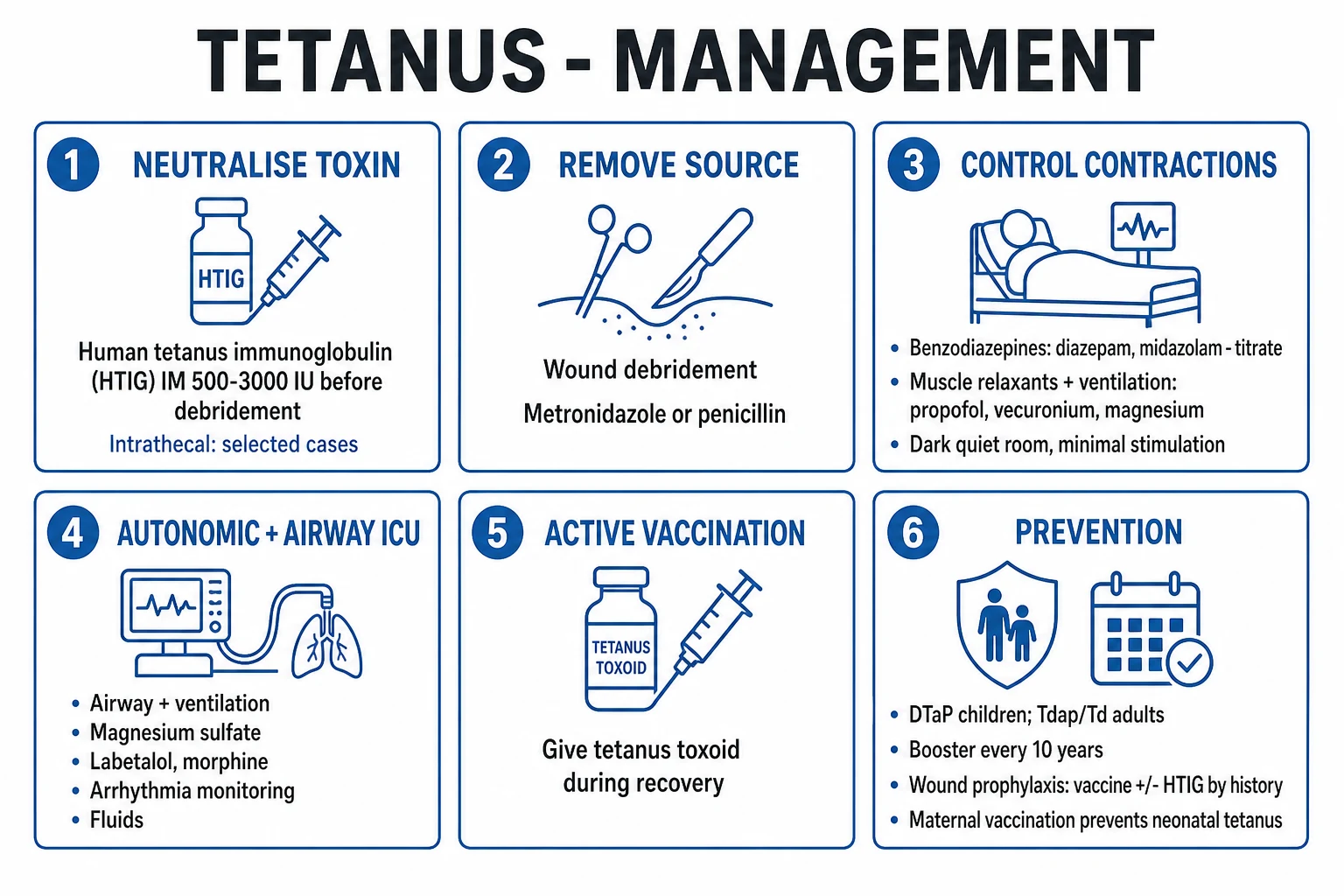Clean management infographic of the four pillars: neutralise toxin (antitoxin), remove the source (debridement plus antibiotics), control spasms and support (sedation, magnesium, ventilation, ICU), and vaccinate