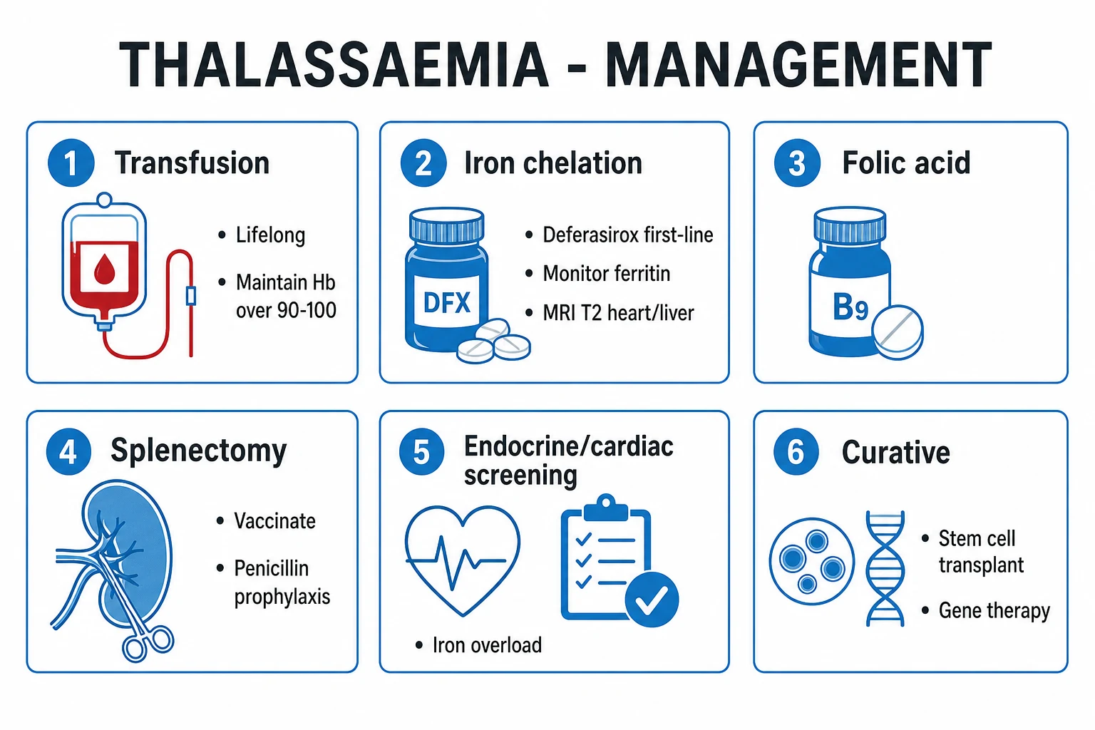 Clean management infographic for thalassaemia major