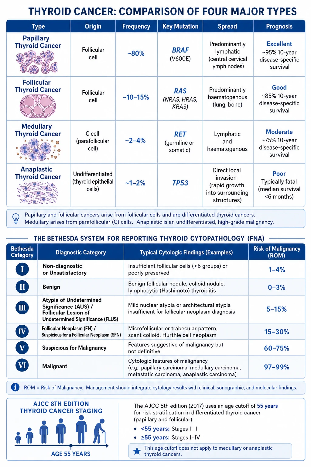 Surgical approach by type and risk: hemithyroidectomy for low-risk papillary microcarcinoma versus total thyroidectomy for larger or higher-risk disease, prophylactic and therapeutic central and lateral neck dissection, radioiodine ablation, TSH suppression with levothyroxine. Screen for pheochromocytoma before medullary surgery.