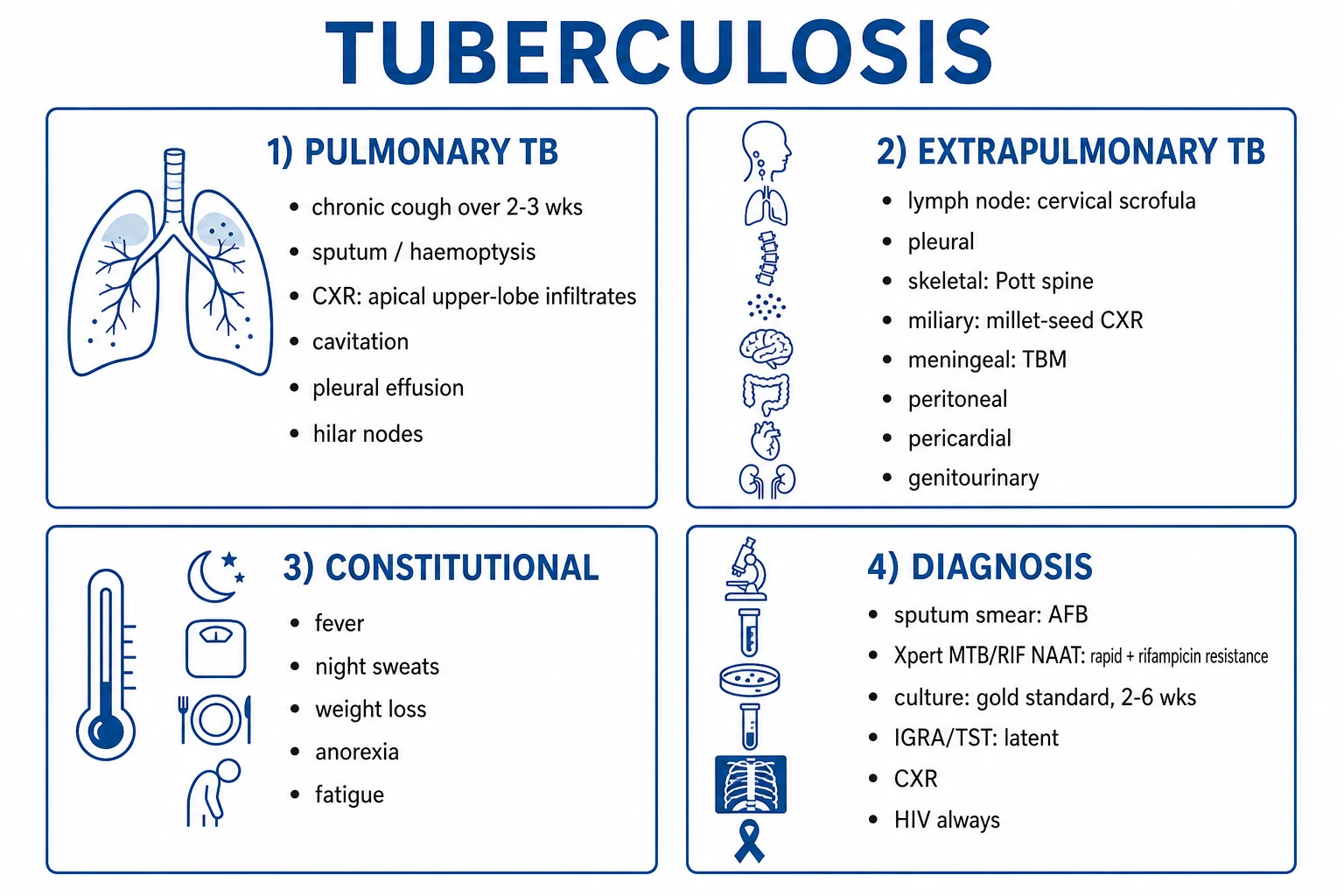 Clean four-pillar infographic of the four first-line tuberculosis drugs plus a regimen box