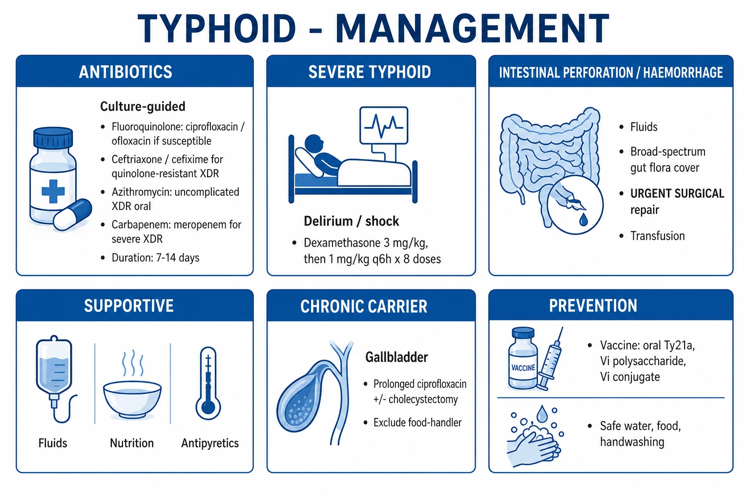 Clean management infographic: empirical antibiotics by susceptibility profile, dexamethasone for severe typhoid, and surgical management of perforation
