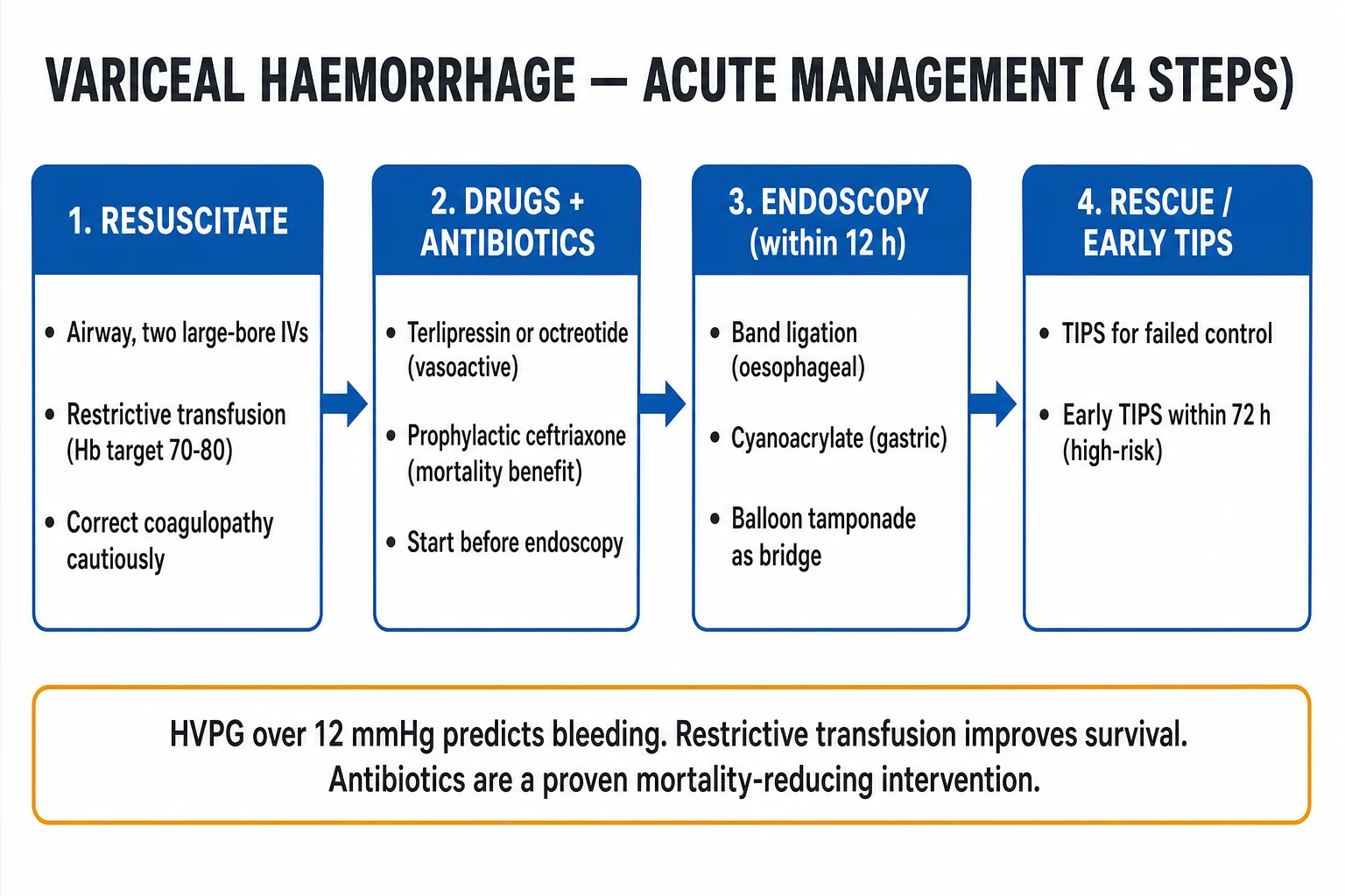 Clean two-column prevention infographic for variceal bleeding, primary versus secondary