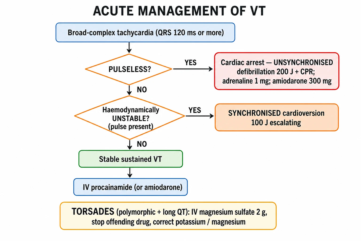 Clean management flowchart showing the pulseless-VT/VF shockable-rhythm ALS algorithm and the stable sustained VT amiodarone-or-cardioversion ladder, plus the torsades magnesium pathway and the long-term ICD primary and secondary prevention decision