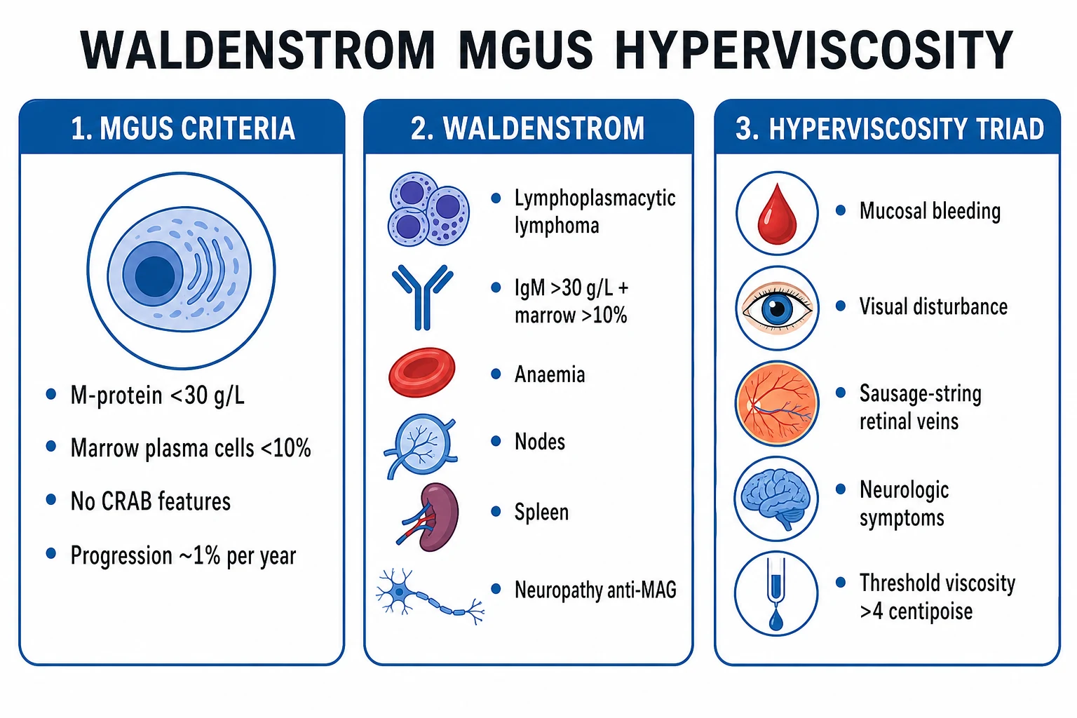 Clean management infographic: MGUS monitoring, Waldenstrom therapy, hyperviscosity emergency